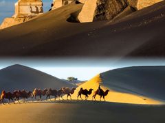 -宁夏博物馆