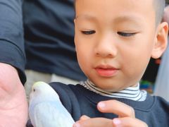 -细村农贸综合市场