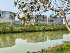 -广东花都湖国家湿地公园