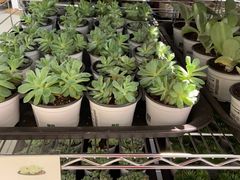 -鹿岛会员店 (龙湖三千集天街店)