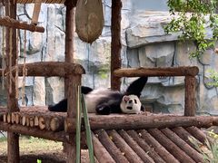 -泉州海丝野生动物世界