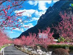 -高岚大峡谷旅游度假区