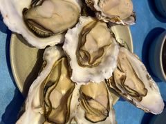 -千岛蚝高压锅生蚝·人参火锅(白云万达店)