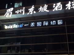 -眉州东坡(博雅店)