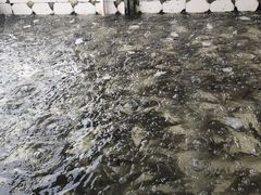 -大通湖