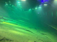 -白鹤梁水下博物馆