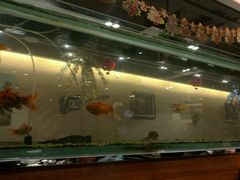 -问渔烤鱼(回龙观总店)