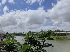 -马陆小张葡萄园农家乐