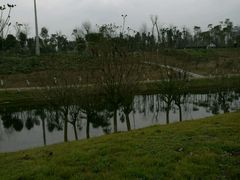 -眉山湿地公园(东坡区)