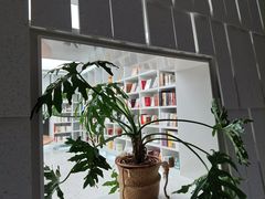 -二酉书店TOYOU BOOKS