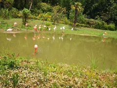 -杭州野生动物世界