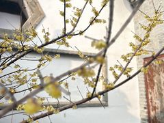 -万寿八仙宫