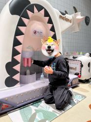 -MELAND亲子乐园•活动包场(北京亦庄龙湖天街店)