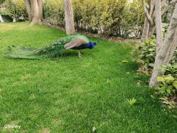 -金庭庄园酒店彩虹厅