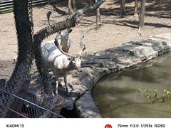 -沈阳森林动物园