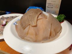 -大渝火锅(苏州西城永捷店)