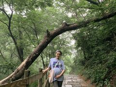 -大岭沟猕猴桃谷风景区