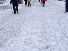 -北山公园