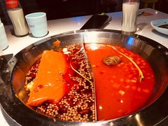 番茄鸳鸯锅-卤教授老火锅