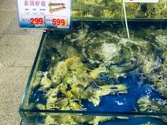 -东江海鲜酒家(艺都分店)