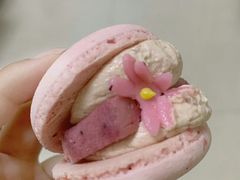 半熟花花马卡龙玫瑰双莓芝士味-好利来(奥林匹克购物广场店)