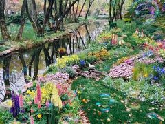 -上海共青森林公园