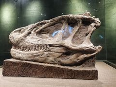 -自贡恐龙博物馆