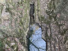-苏州园林博物馆