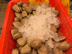 -鲜入围煮花胶鸡海鲜火锅