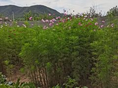 -缘福乡村铁锅炖民宿(八达岭店)