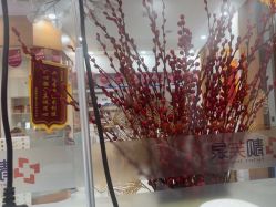 -靓芙泉祛痘.科技美肤连锁