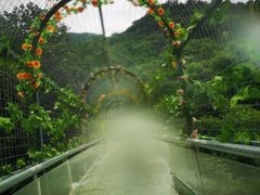 -木兰云雾山