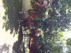 iphone_upload_pic-乌镇西栅景区-月老庙
