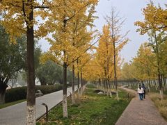 -汉长安城未央宫国家考古遗址公园