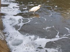 -江头公园