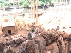 -昆明动物园