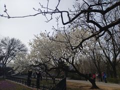 -玲珑塔公园