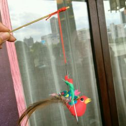 -灵伽瑜伽