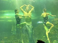 -大明湖海底世界