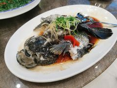 花斑鱼-尖沙咀酒店(大沥店)