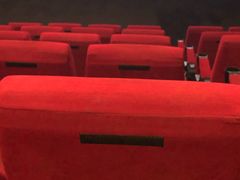 -万达影城(大明宫万达广场IMAX店)