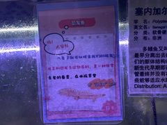 -上海大自然野生昆虫馆(东方明珠·爬宠昆虫探索中心)