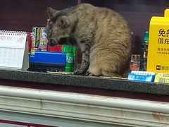 -协和菜馆(凤凰街店)