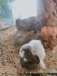 -未来动物城主题公园(正弘城店)
