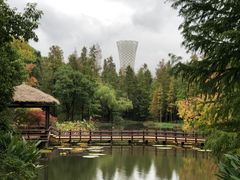 -上海滨江森林公园