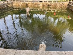 -红梅公园