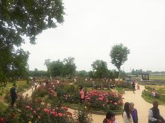 -武汉紫薇都市田园