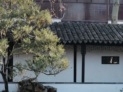 -拙政园