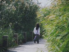 -水洞沟旅游区