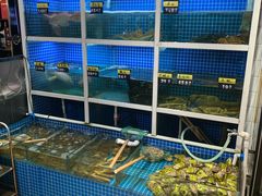 -金龙·打边炉(南京西路店)